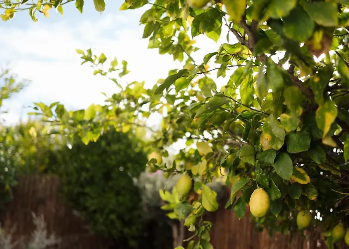 Casa Limone - With Private Courtyard * Sanremo